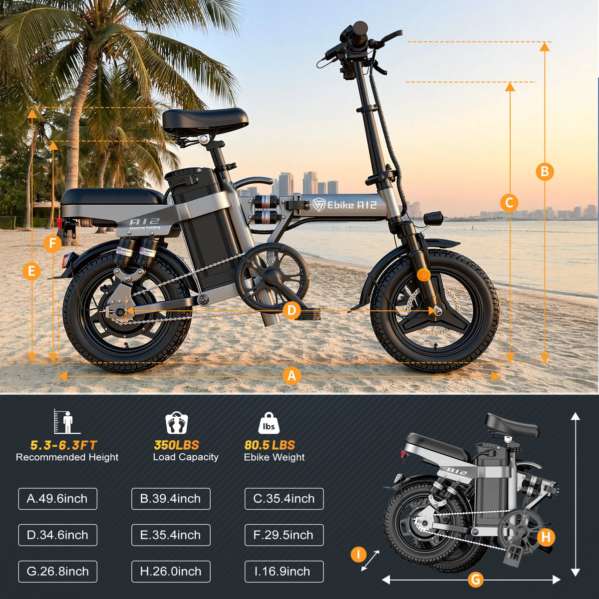DTTZH Folding Electric Bike 1000W Peak Motor Commuter